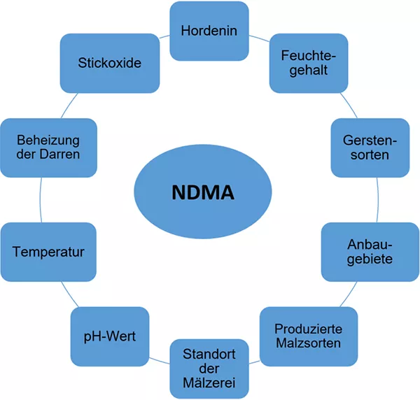 Abbildung 1: Einflussfaktoren auf die Bildung von Nitrosaminen (NDMA)